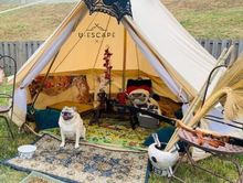 Load image into Gallery viewer, &quot;Glamping-Ready&quot; Family Tents
